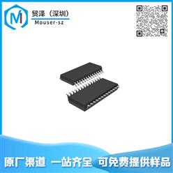 MSP430G2303IPW28R