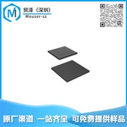 TMS320DM6446BZWT